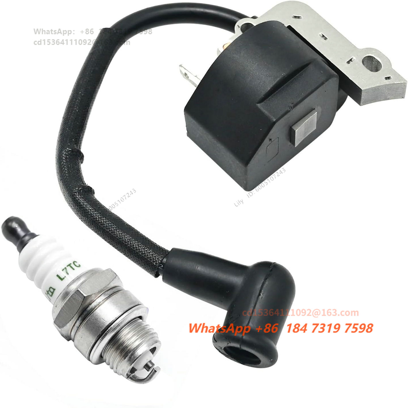 Paquete de bobina de encendido - Spark Plug reseña y precio